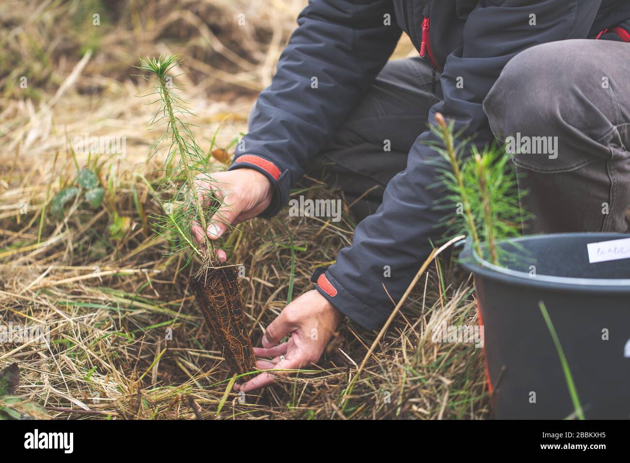 Sicuro il pianeta, uomo piantando albero giovane per ambiente migliore, concetto di ecologia Foto Stock