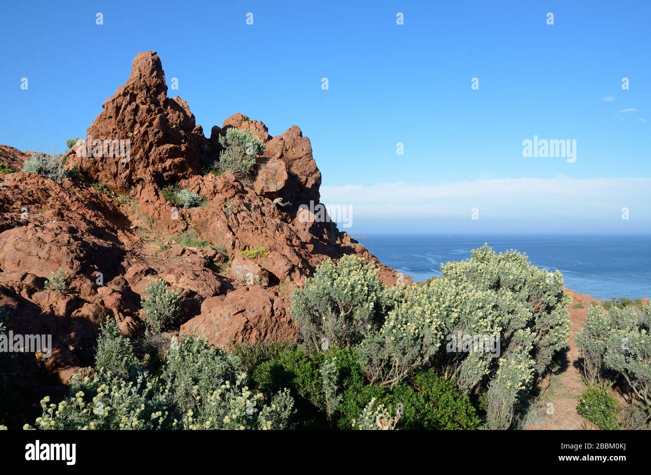 Orfido rosso affioramenti di roccia & Antyllis Barba-Jovis, il Beard di Jupiter, sulla parte di Cap Dramont del Massif de l'Esterel Saint Raphael Côte d'Azur Francia Foto Stock