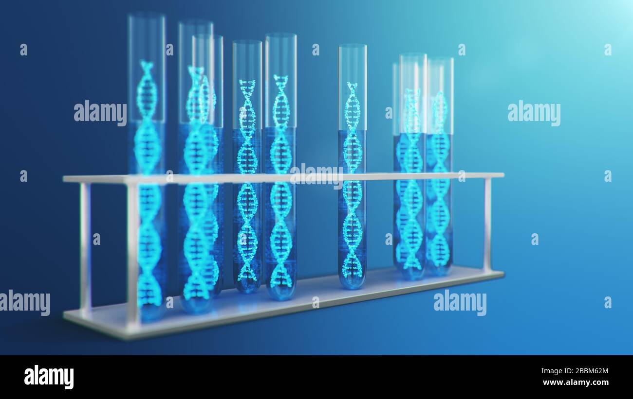 3D Illustrazione molecola di DNA, la sua struttura. Concetto genoma umano. Molecola di DNA con geni modificati. Illustrazione concettuale di una molecola di dna all'interno Foto Stock 3D Illustrazione molecola di DNA, la sua struttura. Concetto genoma umano. Molecola di DNA con geni modificati. Illustrazione concettuale di una molecola di dna all'interno Foto Stock