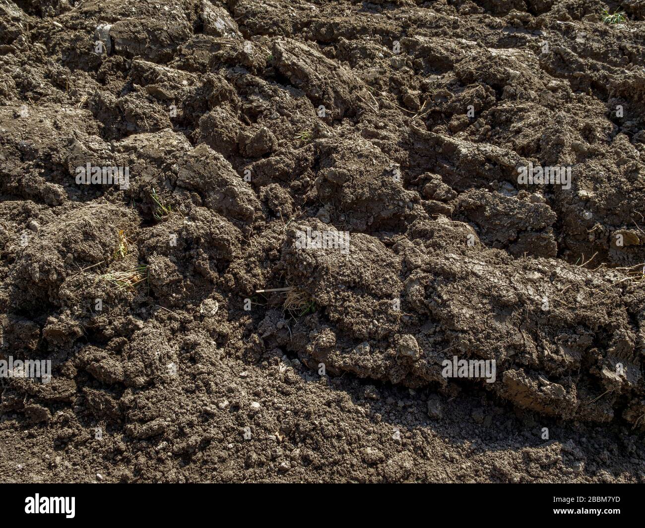 Campo appena arato in primavera, Baviera, Germania, Europa Foto Stock