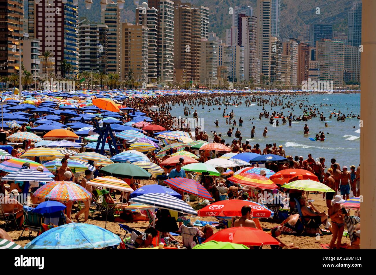 Migliaia di ombrelloni in una giornata di sole nella famosa località turistica spagnola di Benidorm. Questa è la trafficata spiaggia di Poniente in estate. Foto Stock