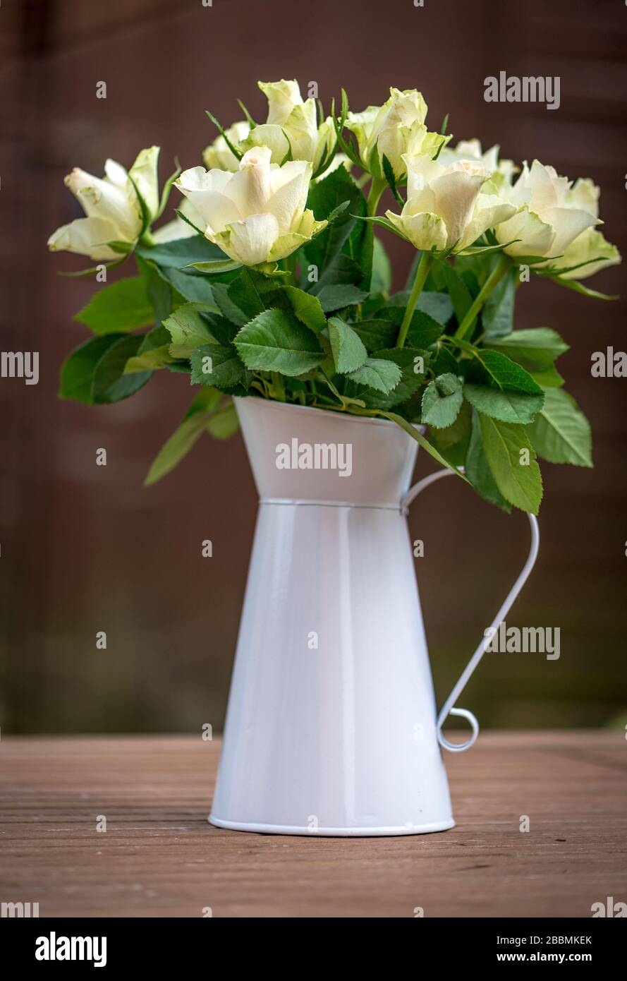 Giardino di campagna Inglese. Caraffa bianca di rose crema. Towcester, Regno Unito Foto Stock