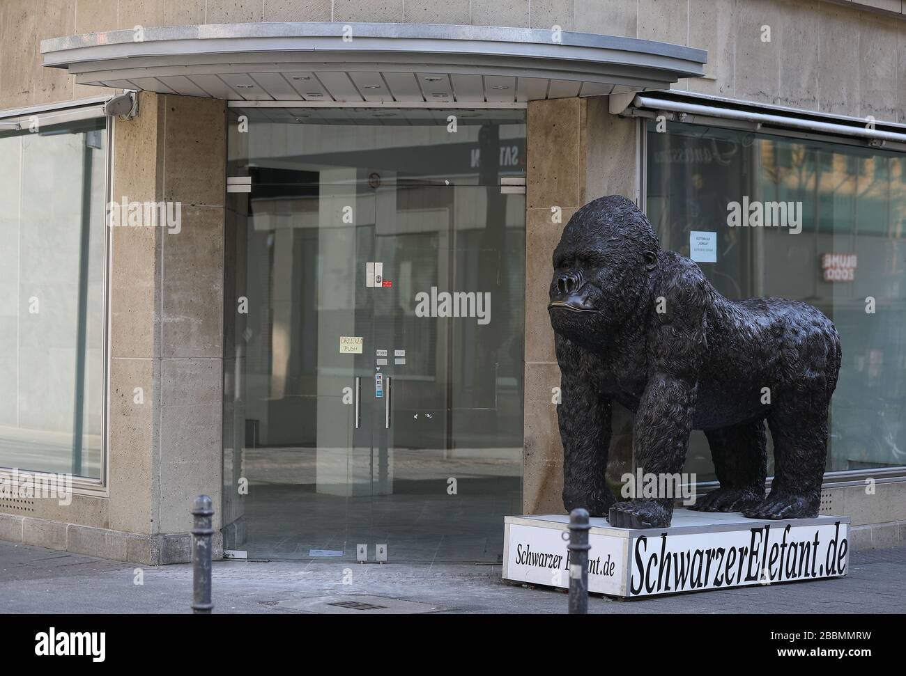 Colonia, Germania. 01st Apr, 2020. Una figura di gorilla si trova davanti ad un negozio vuoto nella zona pedonale. Per contenere il coronavirus, NRW ha vietato tutte le riunioni di tre o più persone in pubblico. Credito: Oliver Berg/dpa/Alamy Live News Foto Stock