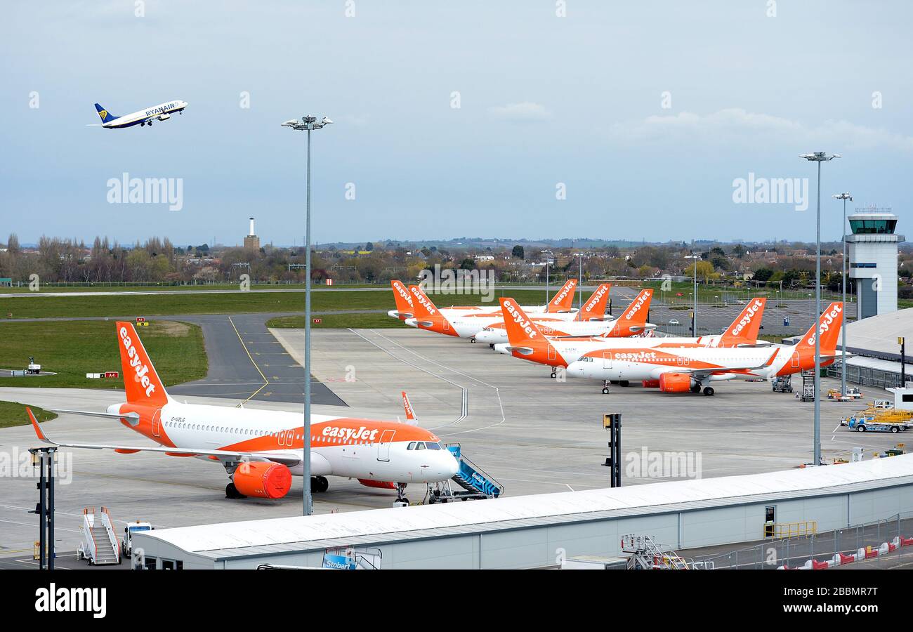 Un aeromobile Ryanair decollare dall'aeroporto di Southend, in quanto gli aerei easyJets sono rimasti parcheggiati dopo che le compagnie aeree hanno ridotto i voli in mezzo a restrizioni di viaggio e un enorme calo della domanda a causa della pandemia di coronavirus. Foto Stock