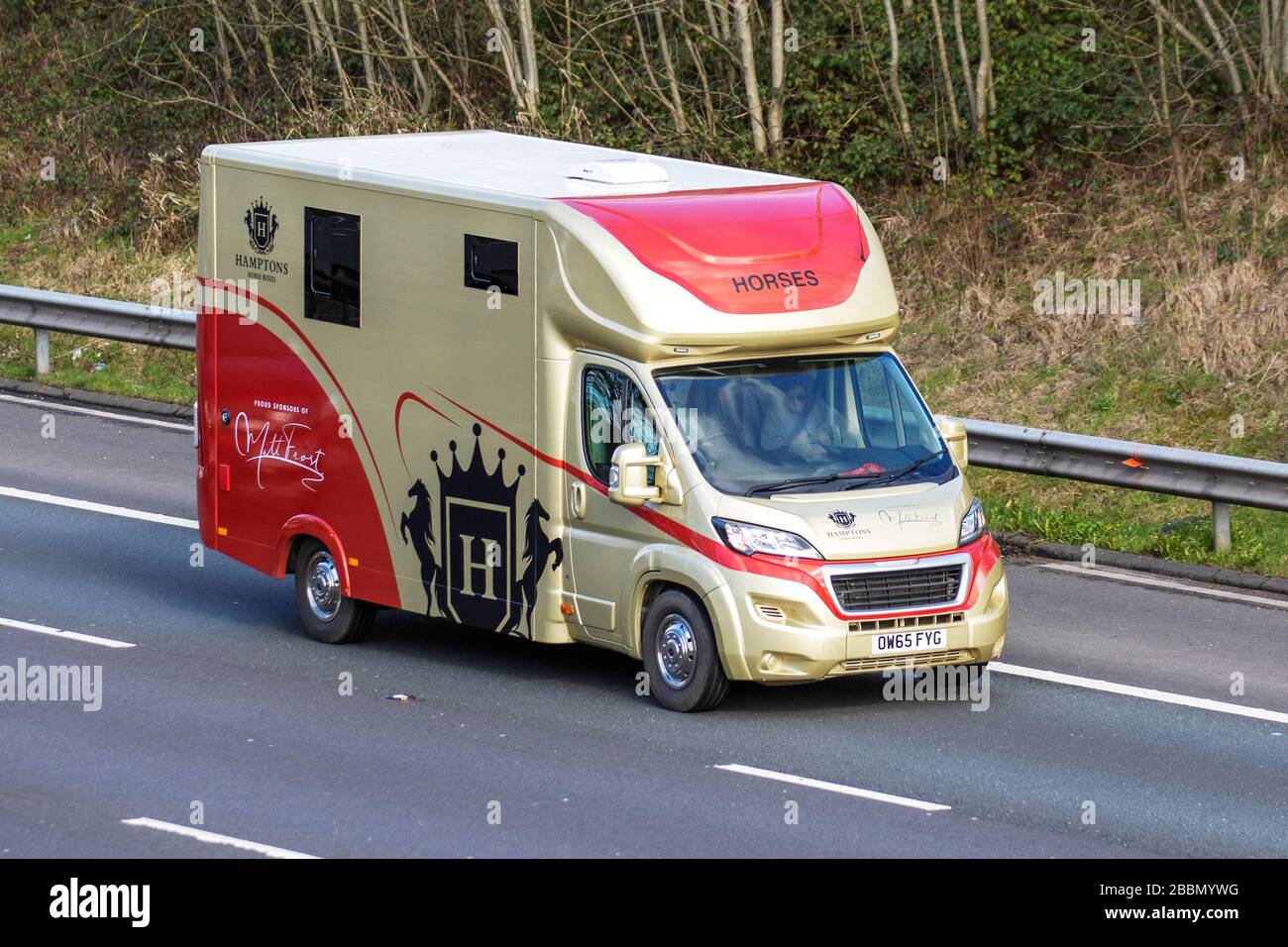 2016 oro Peugeot Boxer 435 Professional L4 a Hamptons pulmino crine; trasporto di animali viaggiando sull'autostrada M6, Lancashire, Regno Unito Foto Stock