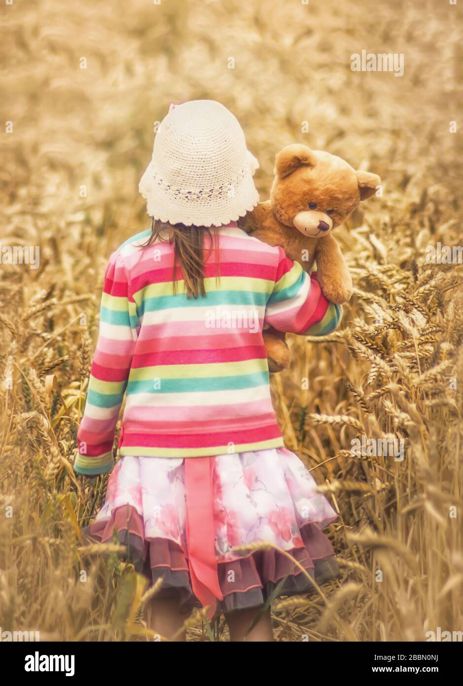 Giovane ragazza che cammina attraverso i campi di mais con il suo orso di teddy in estate, Northamptonshire, Inghilterra Foto Stock