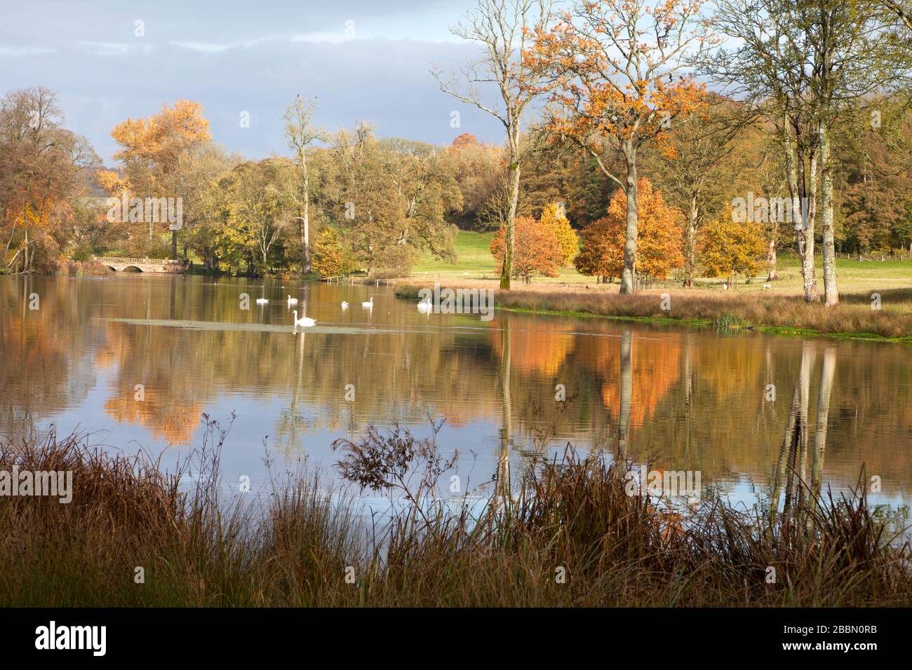 Il lago di Fonthill Bishop, vicino a Tisbury nel Wiltshire. Foto Stock