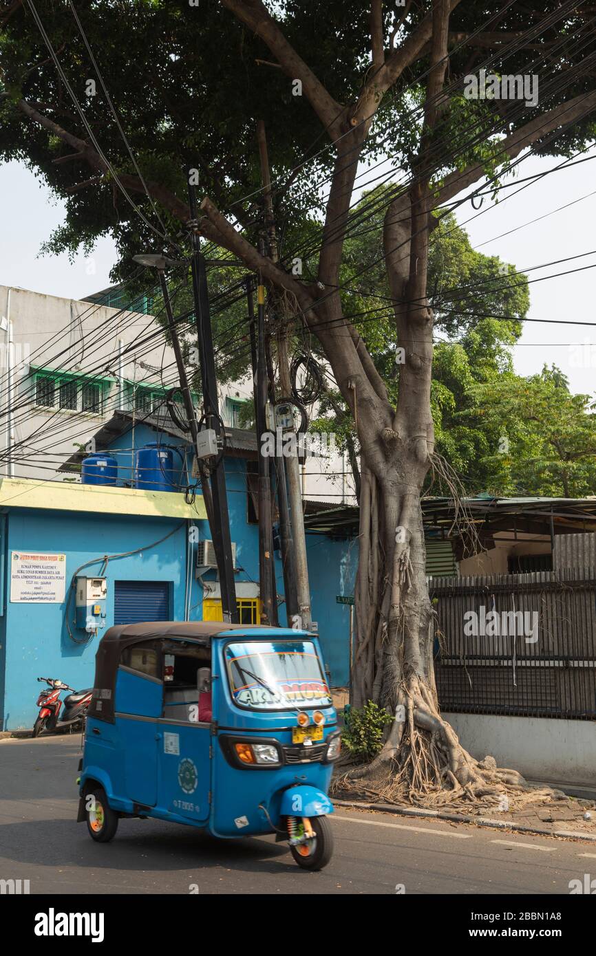 Jakarta, Indonesia - 13 luglio 2019: Un tuk tuk blu trascorre fuori fuoco davanti alla mia macchina fotografica mentre fotografo un Banyan, a Kartini Raya. Foto Stock