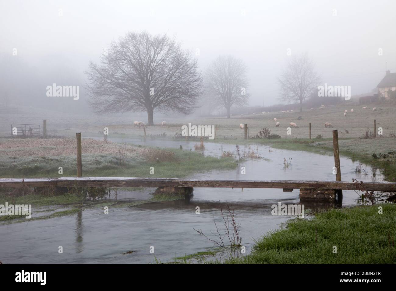 Un ponte pedonale sul fiume Ebble nel villaggio di Fifield Bavant nel Wiltshire. Foto Stock