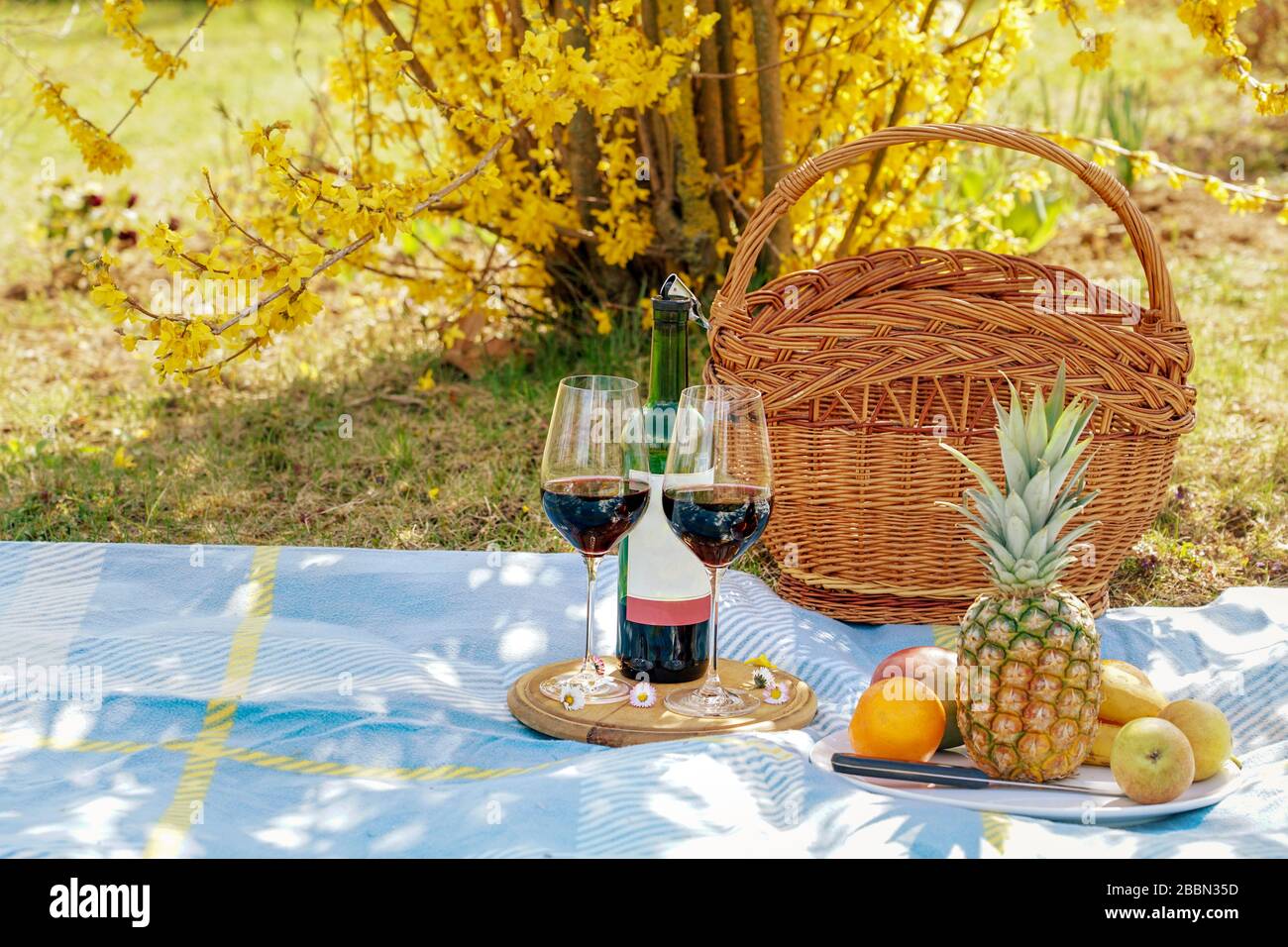 attività a casa durante l'isolamento fare un pic-nic con vino nel proprio giardino Foto Stock