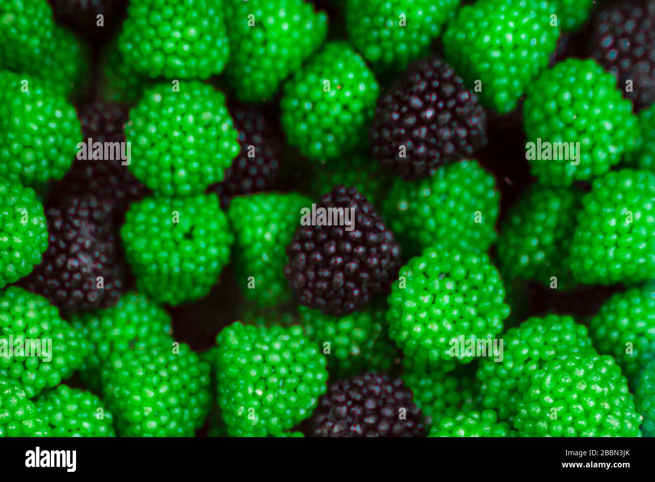 Sfocate caramelle gommose assortite, lamponi e caramelle a forma di BlackBerry. La vista dall'alto. Sfondo dolce, verde brillante e nero. Foto Stock
