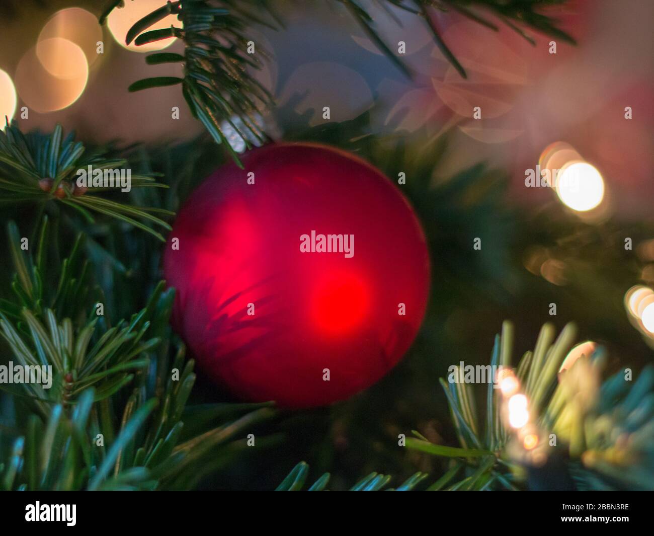 palla di natale rosso sul ramo di abete con luci Foto Stock