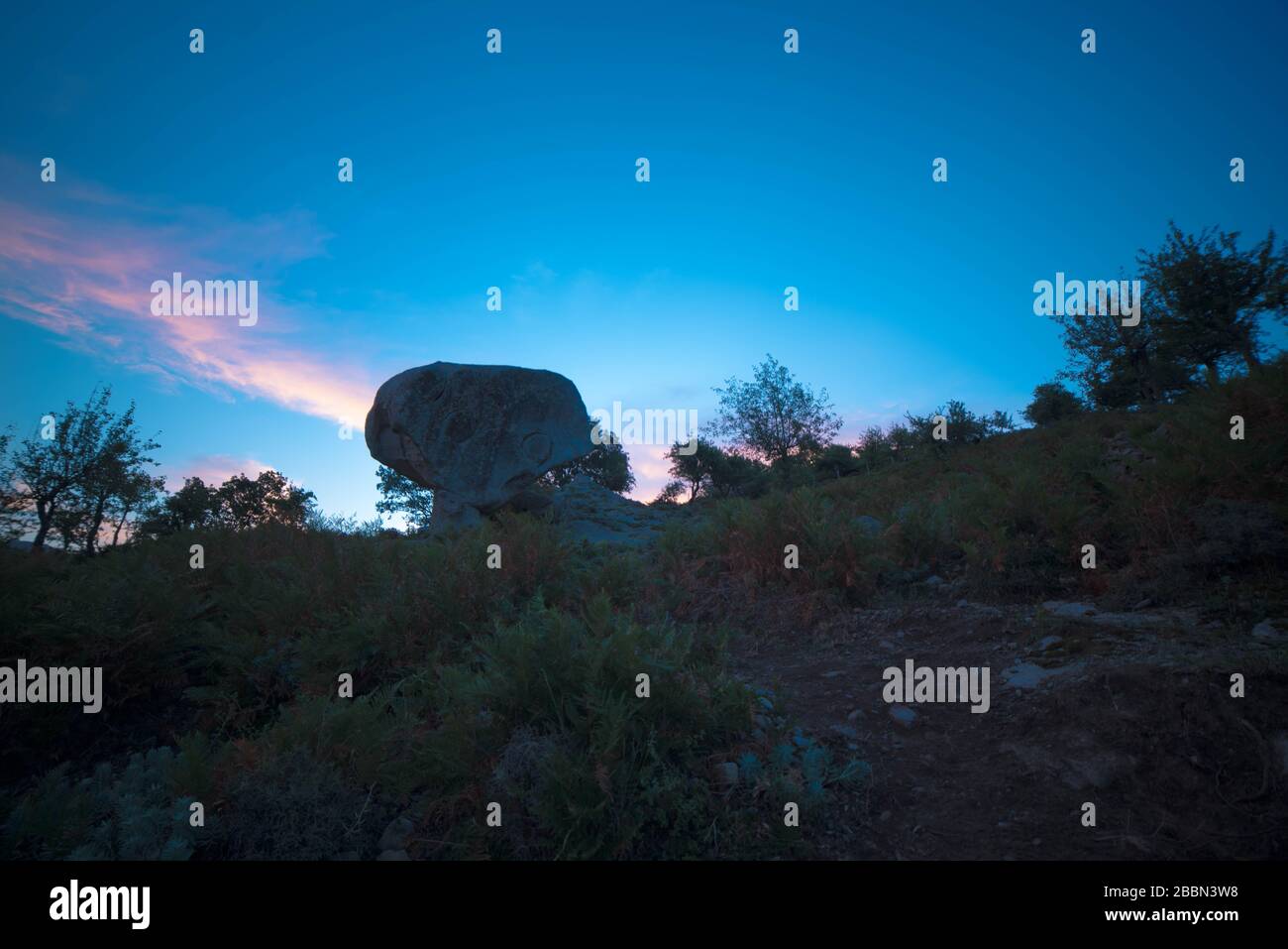 in attesa della notte nel parco nazionale per un tramonto speciale con una bella vista nei boschi Foto Stock