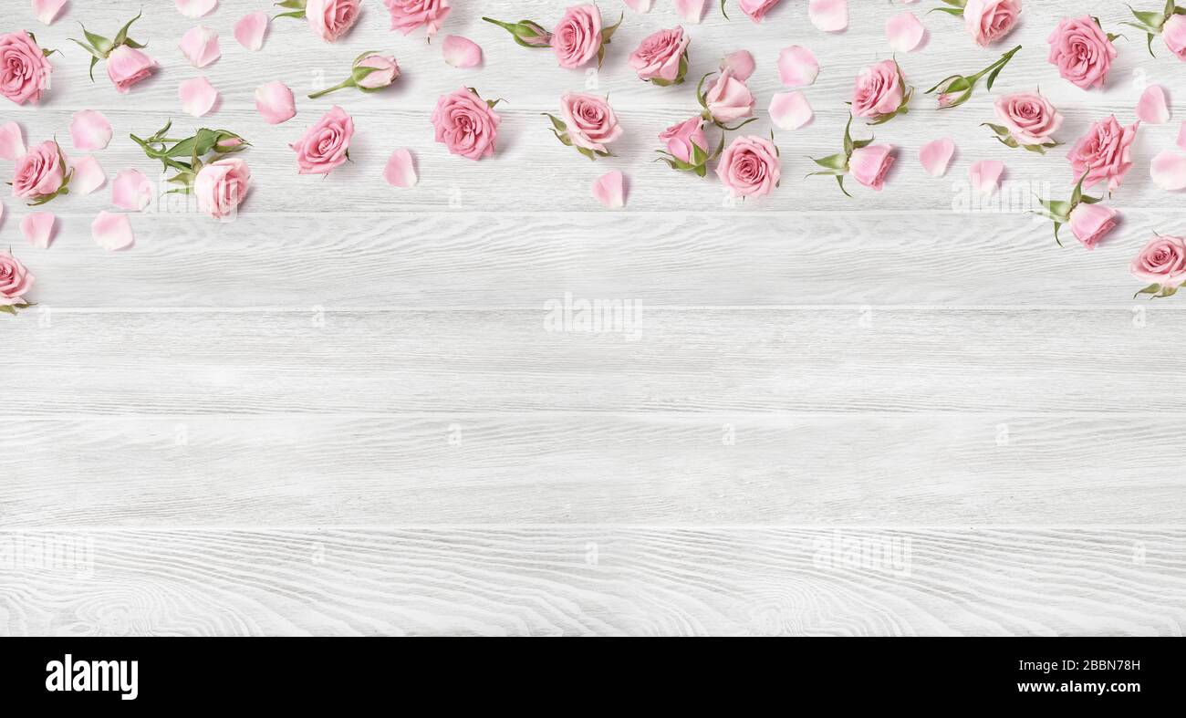 Fiori di rosa su sfondo bianco di legno con spazio di copia per il design, il testo. Vista dall'alto del banner con rose rosa e boccioli di rose. Happy Mothers Day. Foto Stock