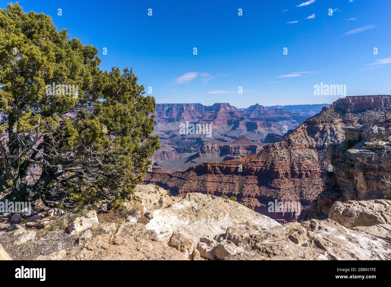 Vista del Grand Canyon dal South Rim, Arizona, Stati Uniti Foto Stock