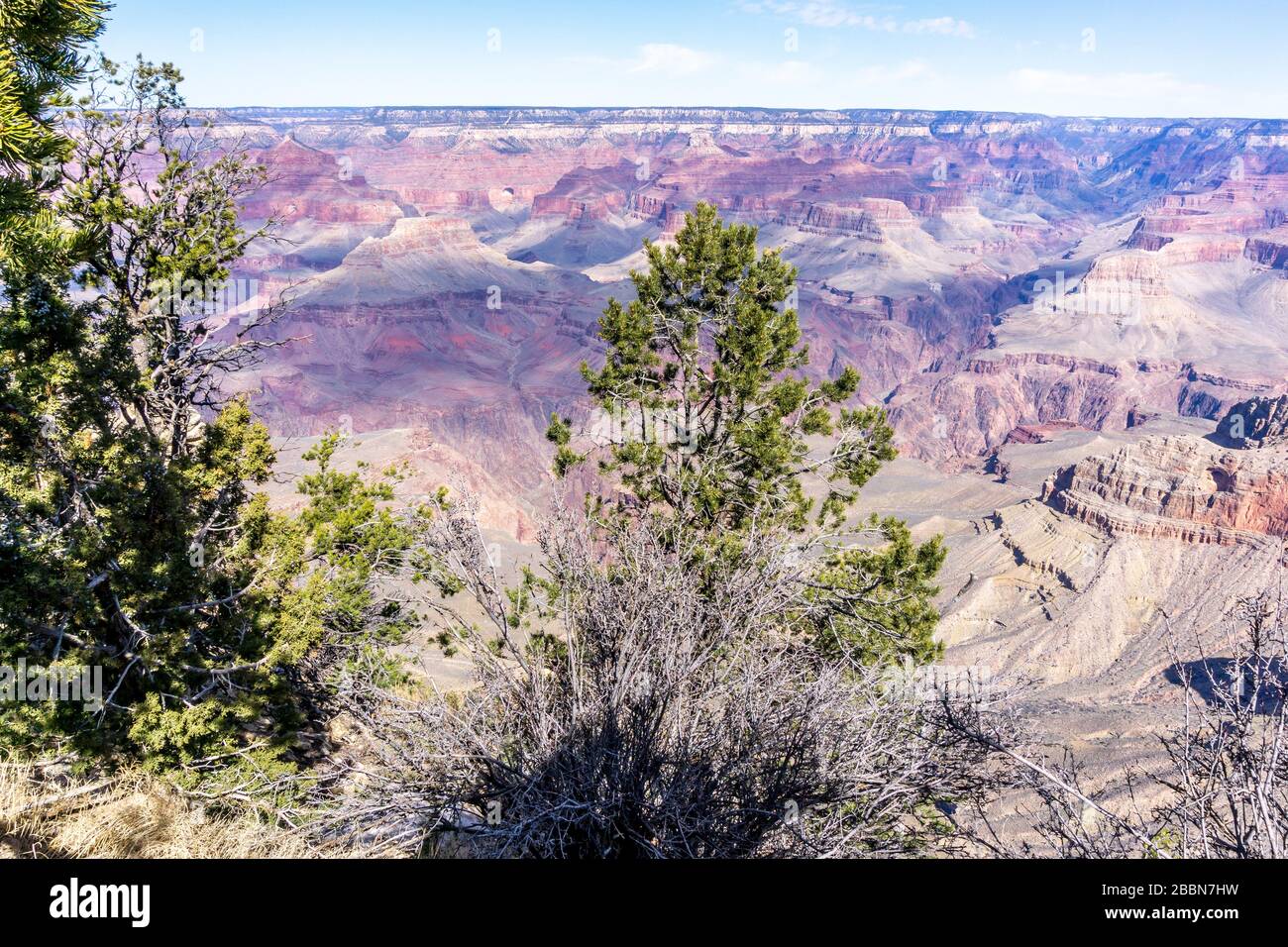 Vista del Grand Canyon dal South Rim, Arizona, Stati Uniti Foto Stock