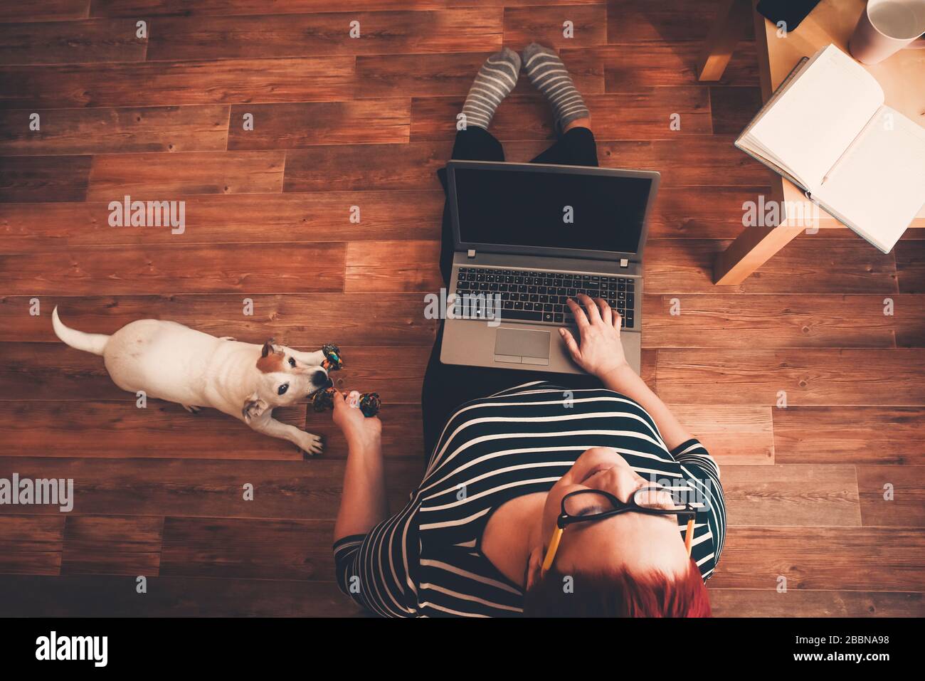Home Office, una donna lavora online utilizzando un computer portatile, il cane interferisce. Rimanere a casa, lavorare online, quarantena coronavirus Foto Stock