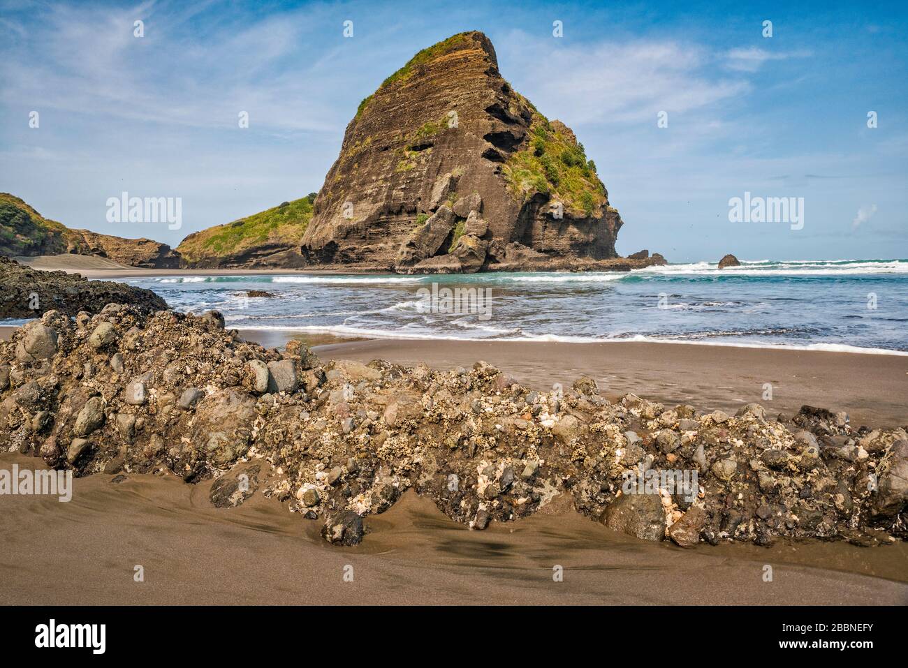 Taitomo Rock, i barnacoli sulla roccia con bassa marea, Tasman Lookout Track, Waitakere Ranges Regional Park, Piha, Auckland Region, North Island, New Zealand Foto Stock