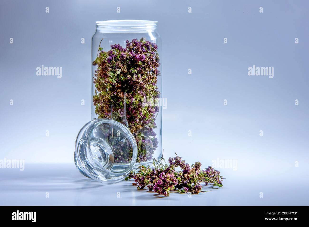 Vaso di vetro pieno di erbe (origano viola essiccato) isolato su sfondo bianco Foto Stock