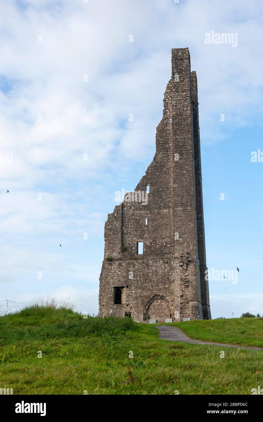 Steeple giallo in Trim Irlanda Foto Stock