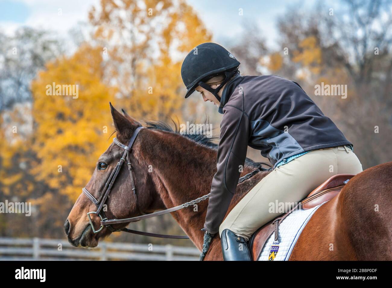 Bella giovane equestre donna seduta il suo cavallo Foto Stock