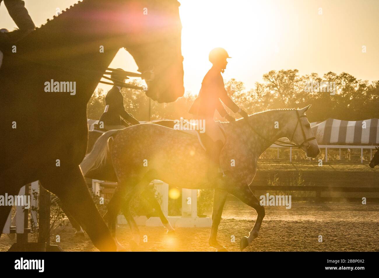 Adolescenti ragazze e cavalli competono a cavallo show Foto Stock