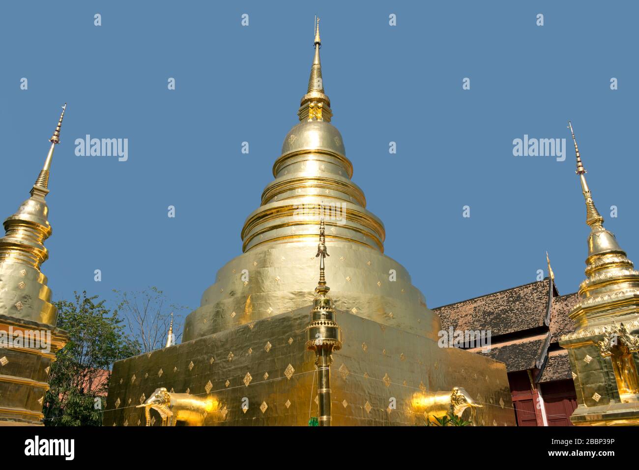 Wat Phra Sing con luccicante Golden Stupa a Chiang mai, Thailandia, Asia Foto Stock