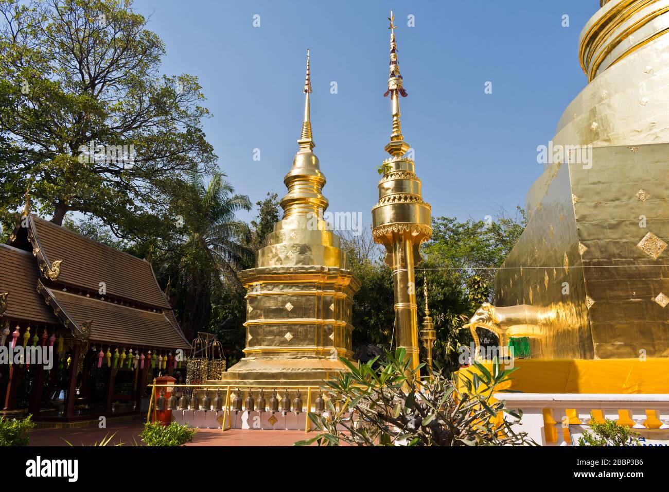 Wat Phra Sing con luccicante Golden Stupa a Chiang mai, Thailandia, Asia Foto Stock