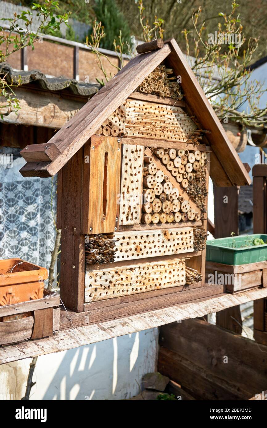 Vista di una casa di insetti nel giardino, protezione per gli insetti, denominato hotel di insetto, Insektenhotel Foto Stock