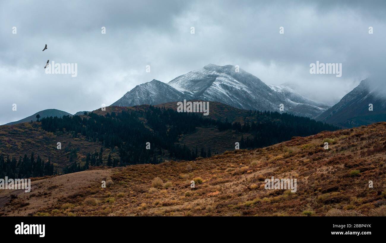 Xizang, Xizang, Cina. 1st Apr, 2020. Xian CHINA - 1 aprile 2020 - il fotografo ha impiegato dieci anni per catturare il paesaggio dell'altopiano, ognuno dei quali è grande. Credito: SIPA Asia/ZUMA Wire/Alamy Live News Foto Stock