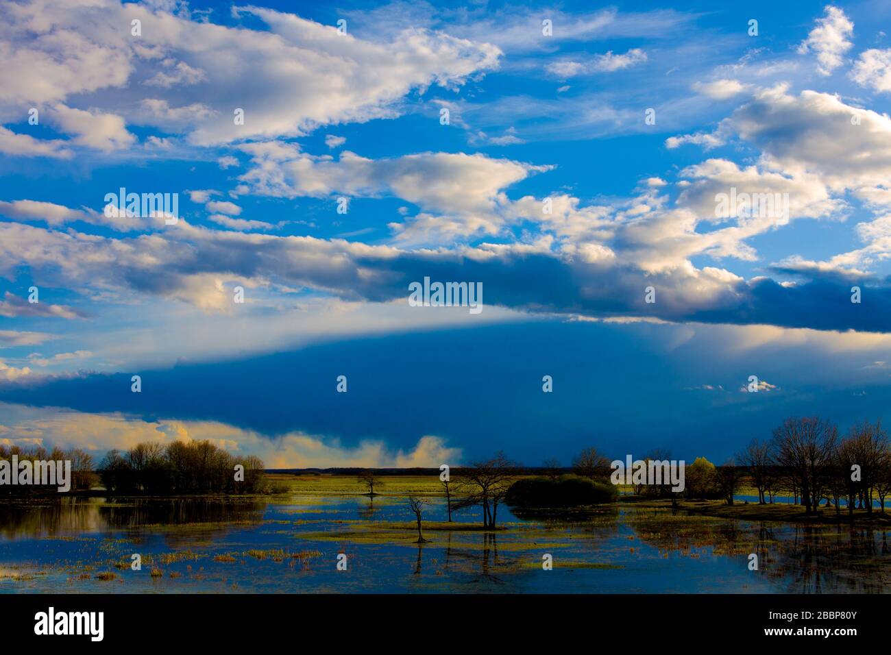 Paesaggio delle paludi di Biebrza a Podlasie in Polonia Foto Stock