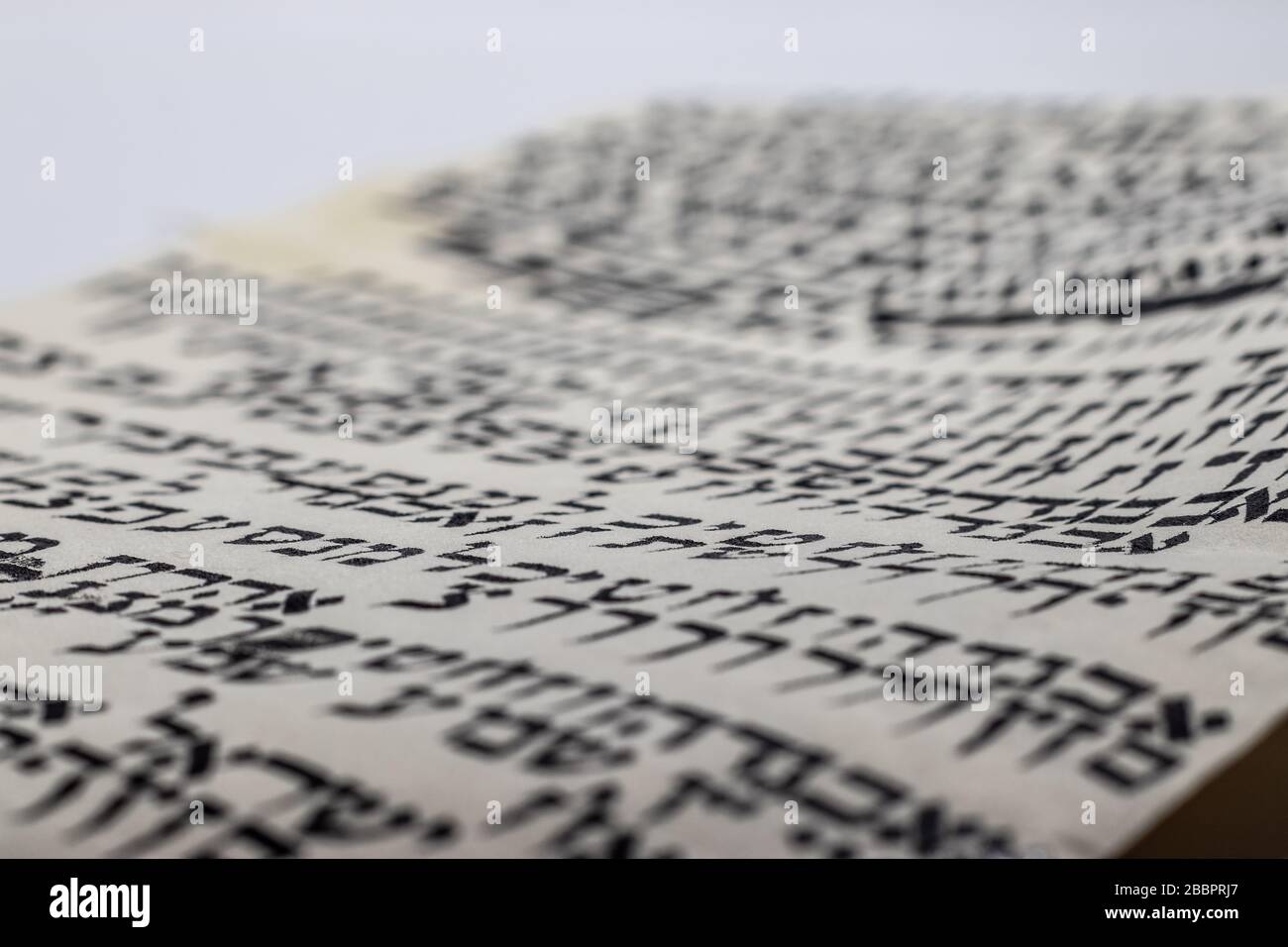 Studio di scrittura ebraica - stile di Torah scroll, (Bibbia) lettere casuali in ebraico sulla pelle. (Editor: Le lettere non hanno alcun significato e sono completamente rand Foto Stock