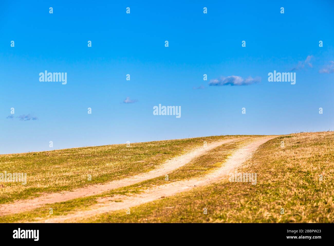 Solitario sentiero all'orizzonte attraverso la prateria sparsa in una giornata di sole limpida (spazio copia) Foto Stock