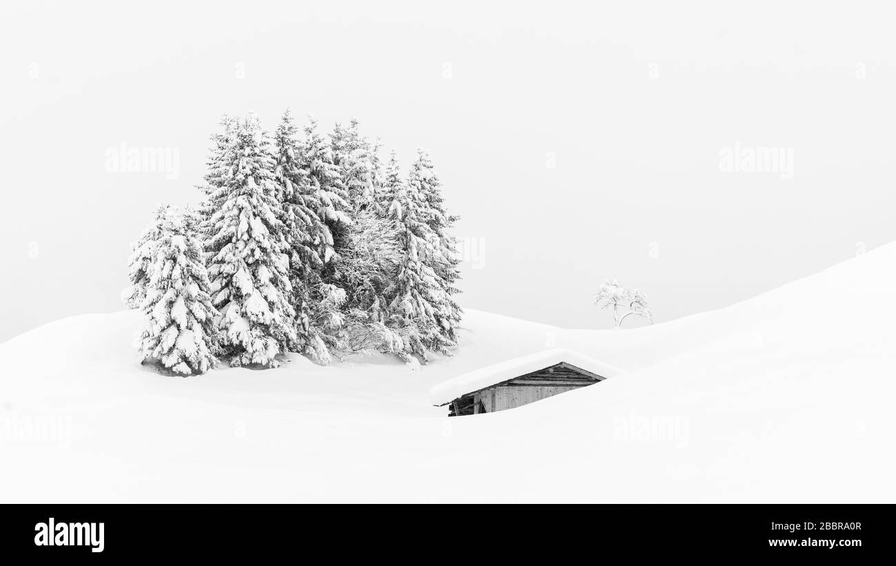 Alcuni alberi e una cabina in inverno neve paesaggio, abbastanza scena minimal molto riposante tranquilla Foto Stock