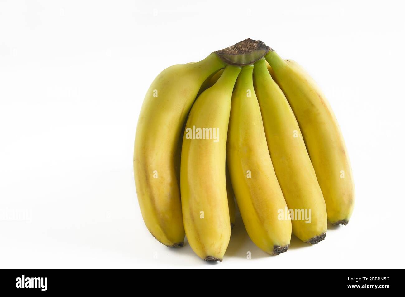 Gruppo di banane delle isole Canarie Spagna. Foto Stock