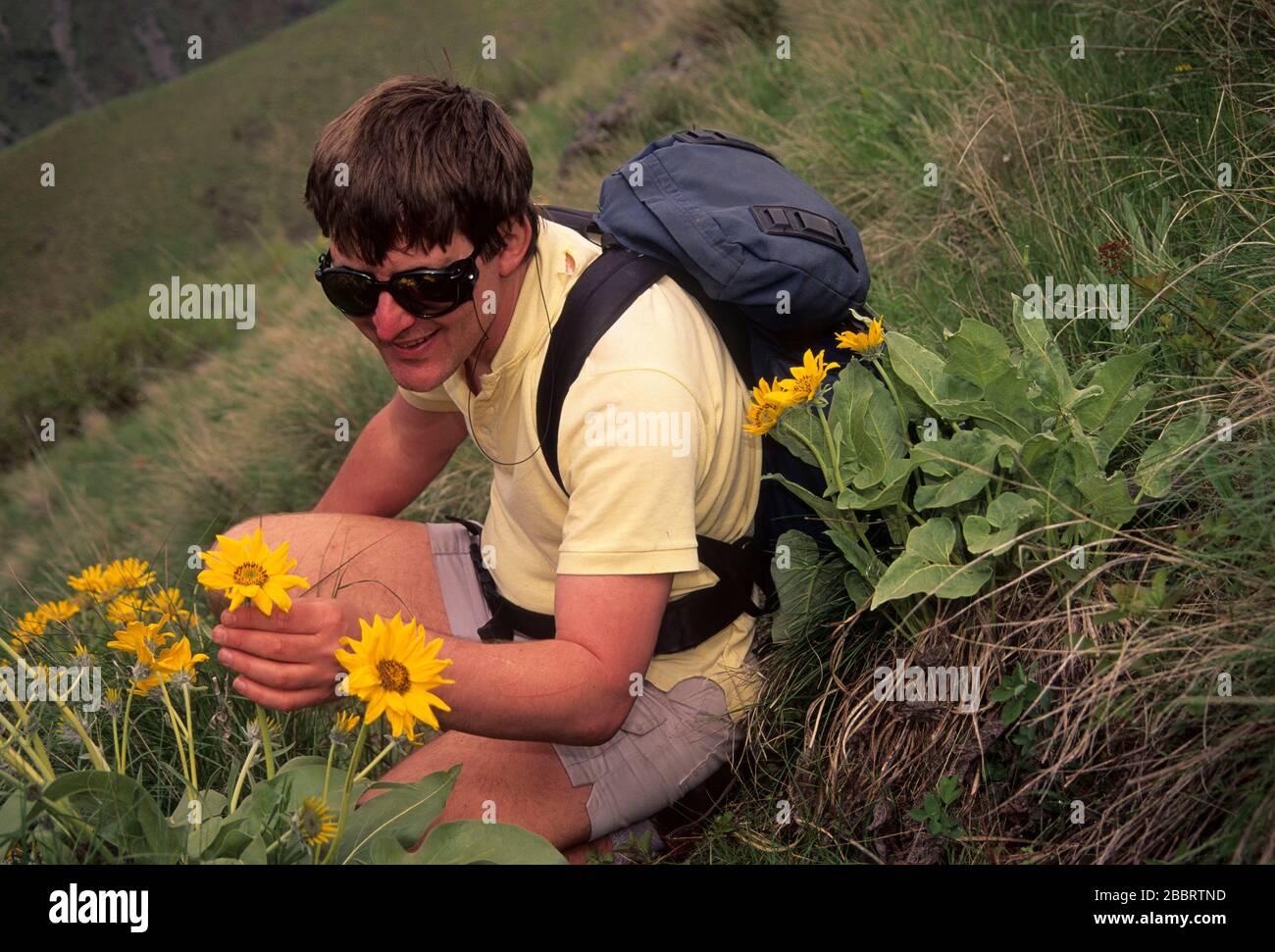 Mule's Ears lungo Kinney Creek Trail, Hells Canyon Scenic Area, Payette National Forest, Idaho Foto Stock