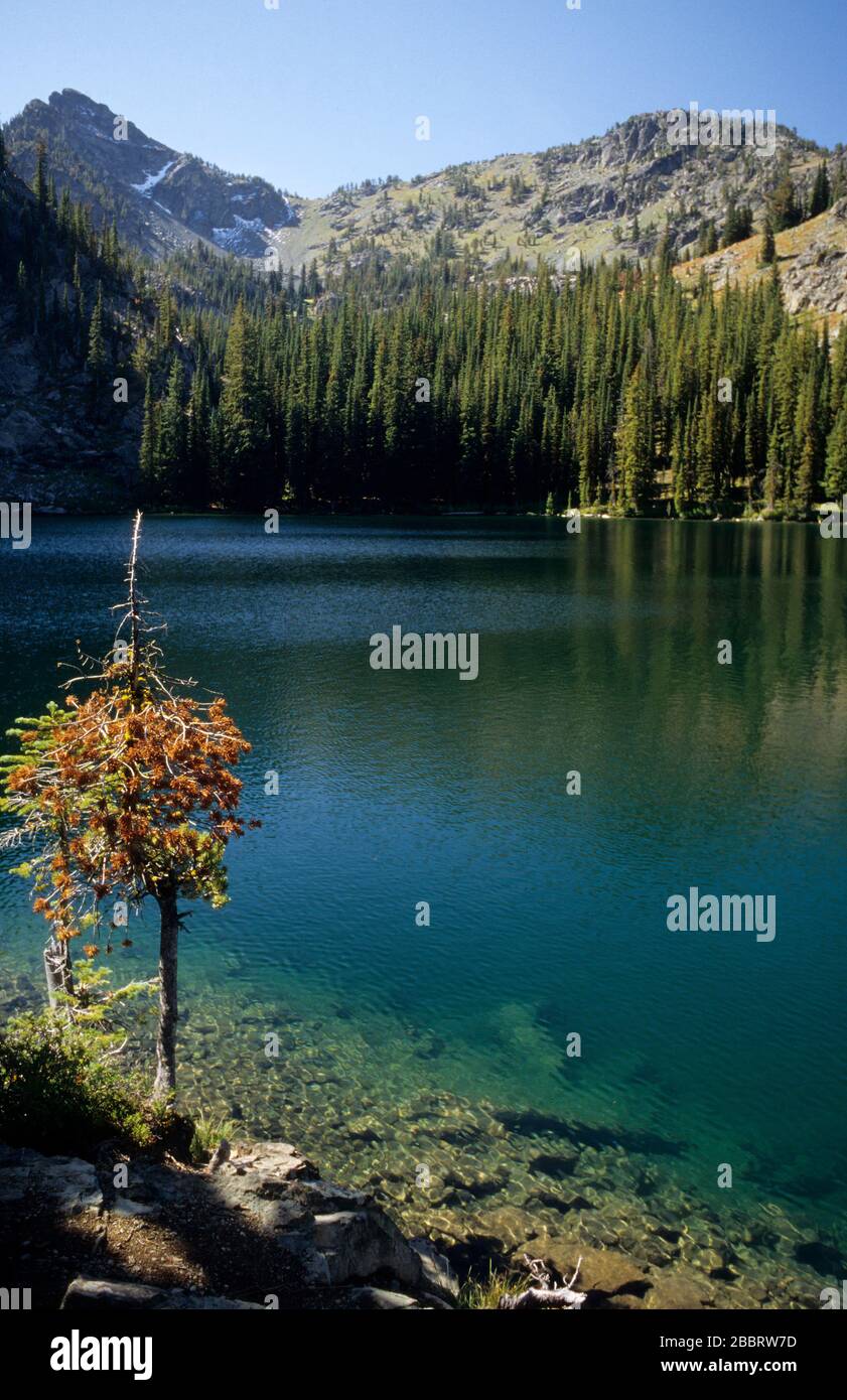 Basin Lake, Hells Canyon Wilderness, Hells Canyon National Recreation Area, Idaho Foto Stock