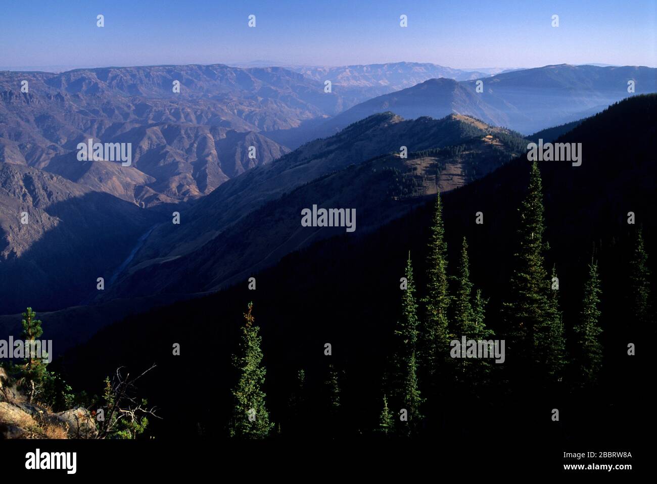 Hells Canyon view, Hells Canyon Wilderness, Hells Canyon National Recreation Area, Idaho Foto Stock