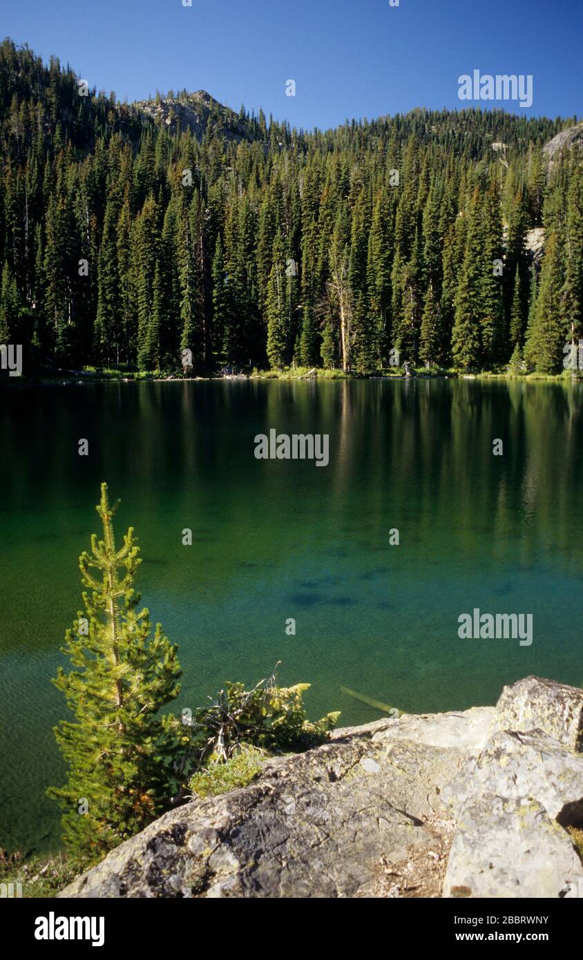 Bernard Lake, Hells Canyon Wilderness, Hells Canyon National Recreation Area, Idaho Foto Stock