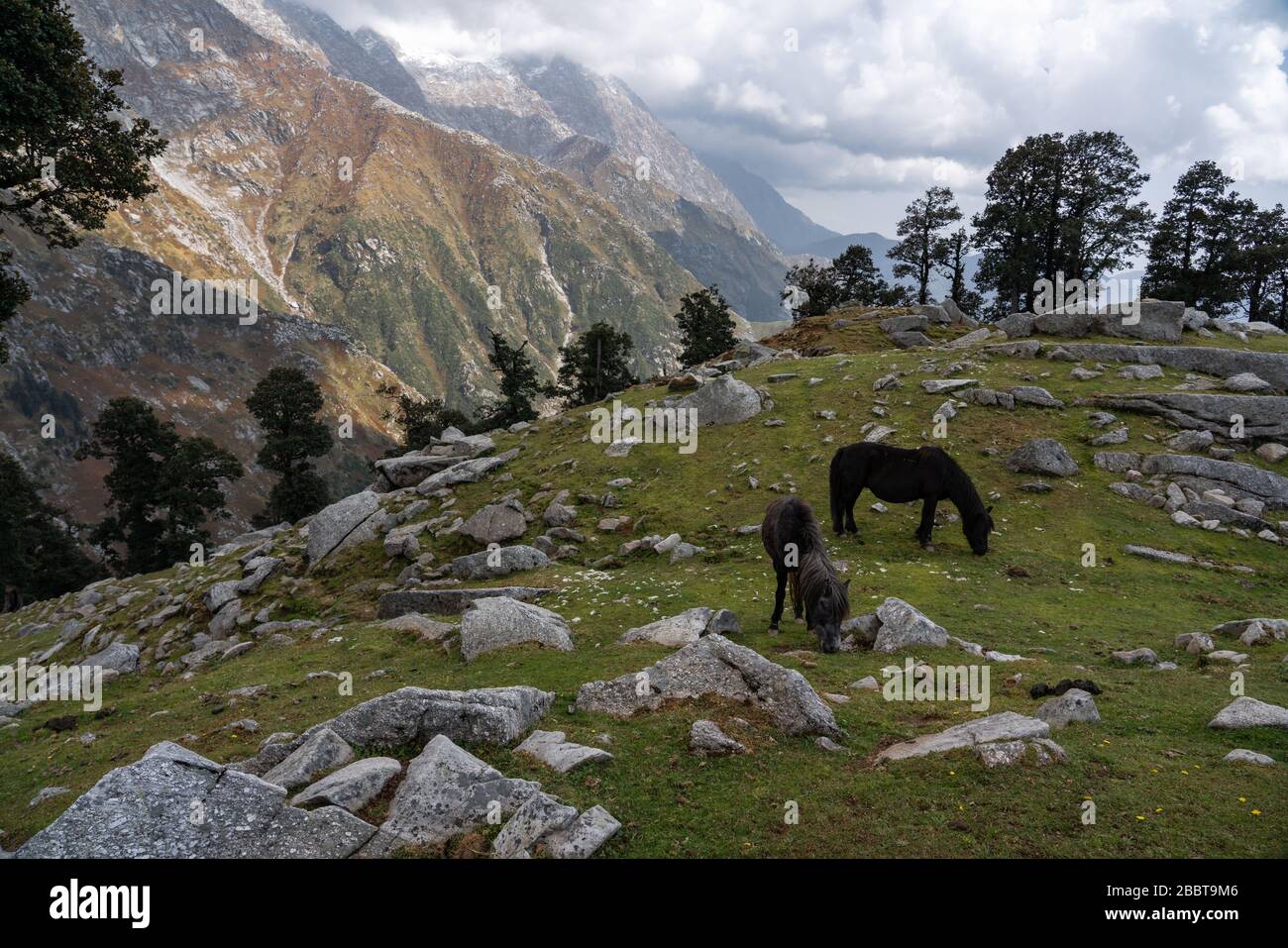 Vista della città di Manali nel paesaggio dell'Himalaya dell'India del Nord Foto Stock