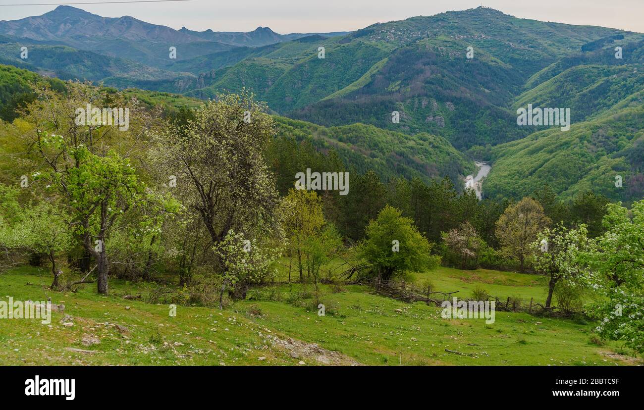 Vista dalla tenda che si affaccia sul fiume Arda selvaggio e sulle verdi montagne Rhodope. Posizione fantastica per escursioni, amanti della natura Foto Stock