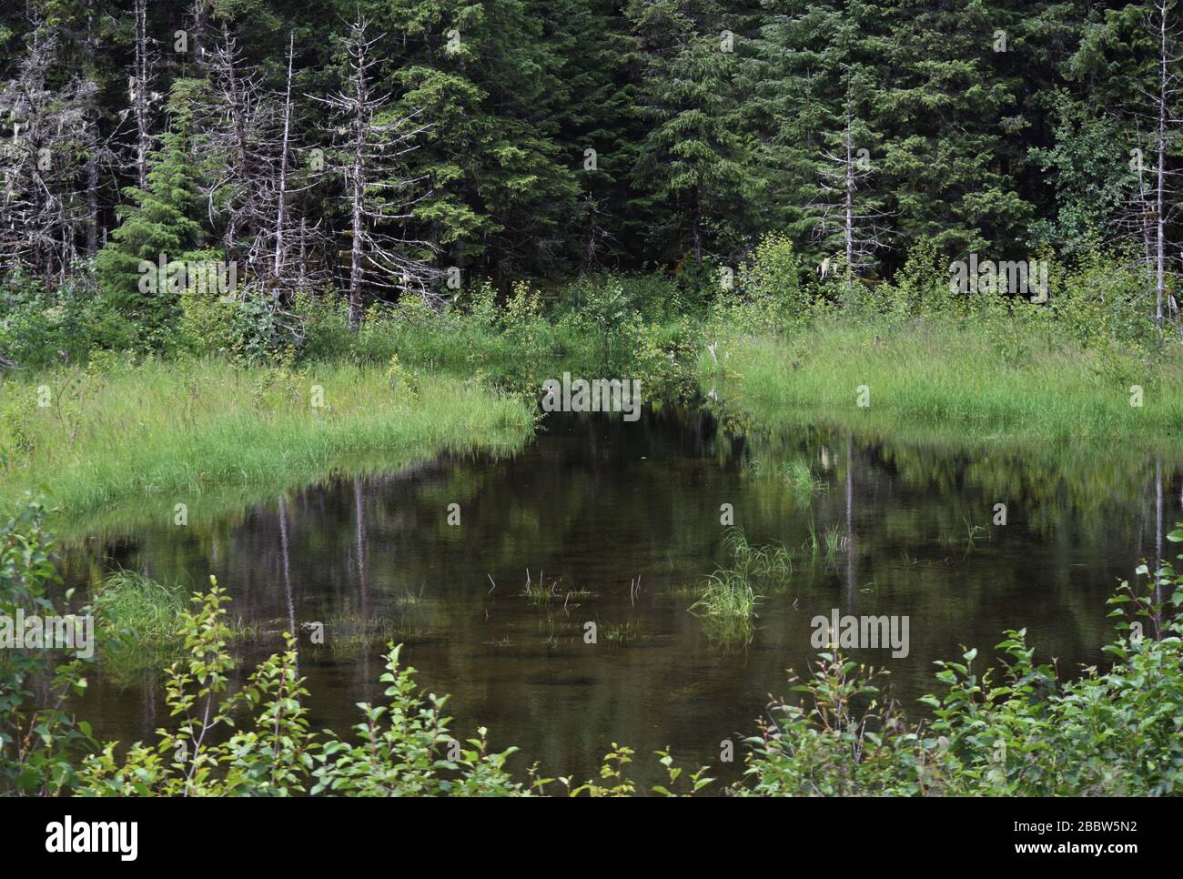 L'Alaska è la natura migliore, offre panorami mozzafiato e paesaggi indisturbati Foto Stock