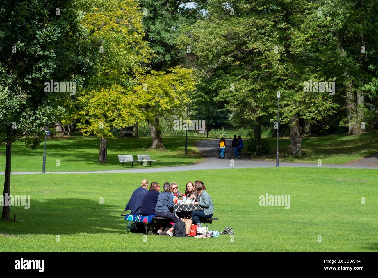 Donne che hanno un picnic su un parco Foto Stock