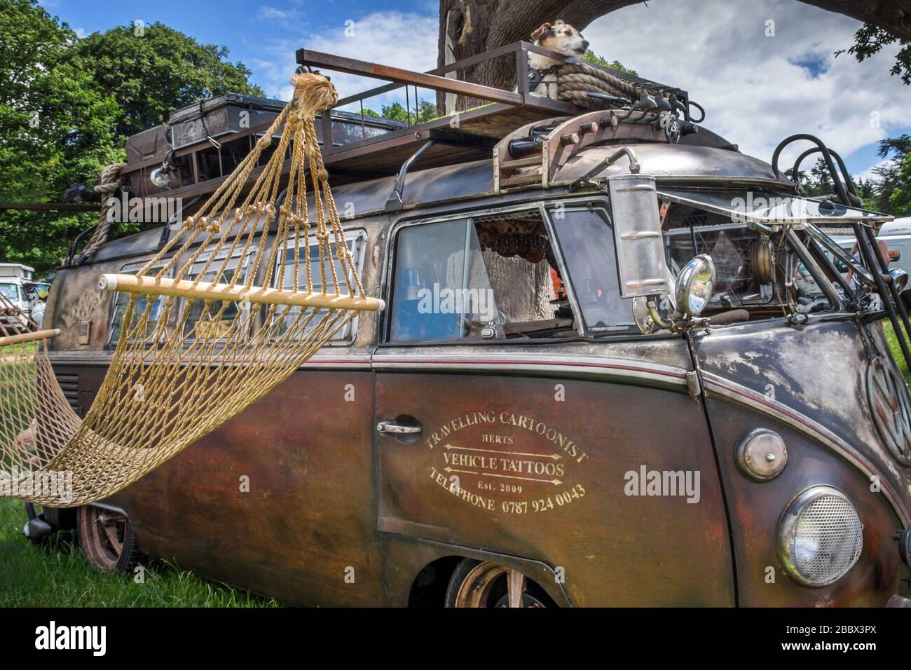 cane sopra un primo tipo di camper vw personalizzato Foto Stock