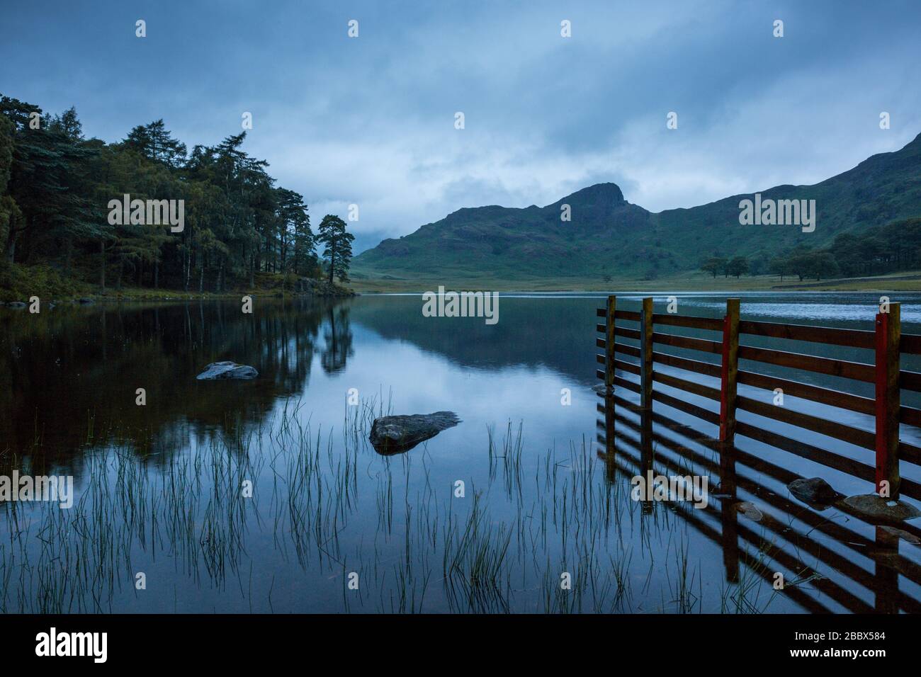 Riflessioni nelle acque di Blea Tarn, con i Langdale Pikes in lontananza, Lake District National Park, Cumbria, Inghilterra, Regno Unito Foto Stock