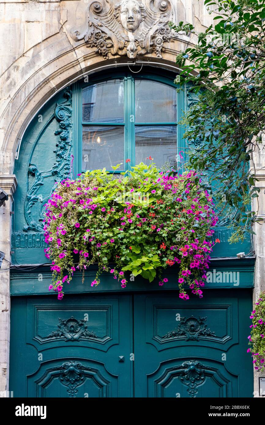 Flower box sopra la porta di fronte all'edificio nel quartiere Latino - 5th Arrondissement, Parigi, Francia Foto Stock