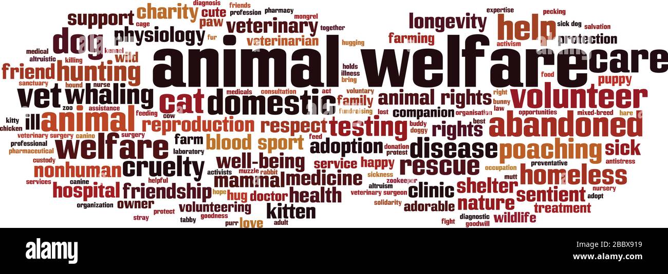 Concetto di nube di parola di benessere animale. Collage fatto di parole sul benessere degli animali. Illustrazione vettoriale Illustrazione Vettoriale