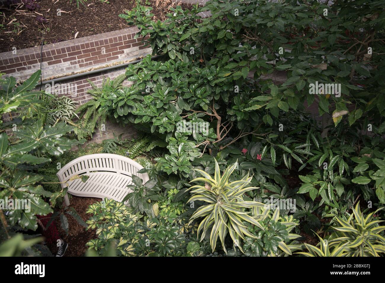 Barbican Conservatory concrete 1960s Brutalist Architecture Barbican Estate di Chamberlin Powell e Bon Architects Ove Arup su Silk Street, Londra Foto Stock