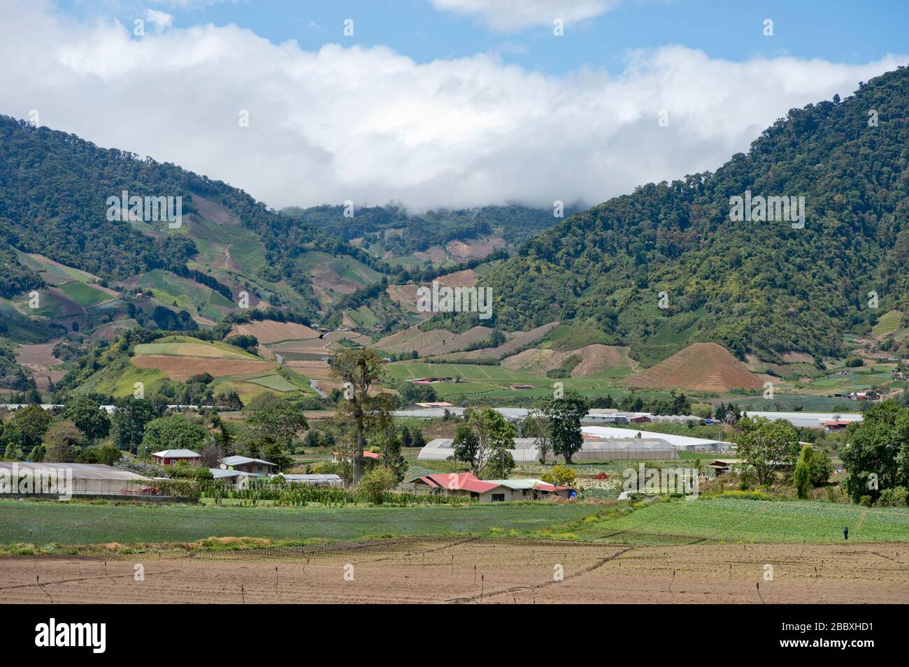 Volcan Baru (Vulcano Baru) campi agricoli vicino Volcan a Panama nord-occidentale Foto Stock