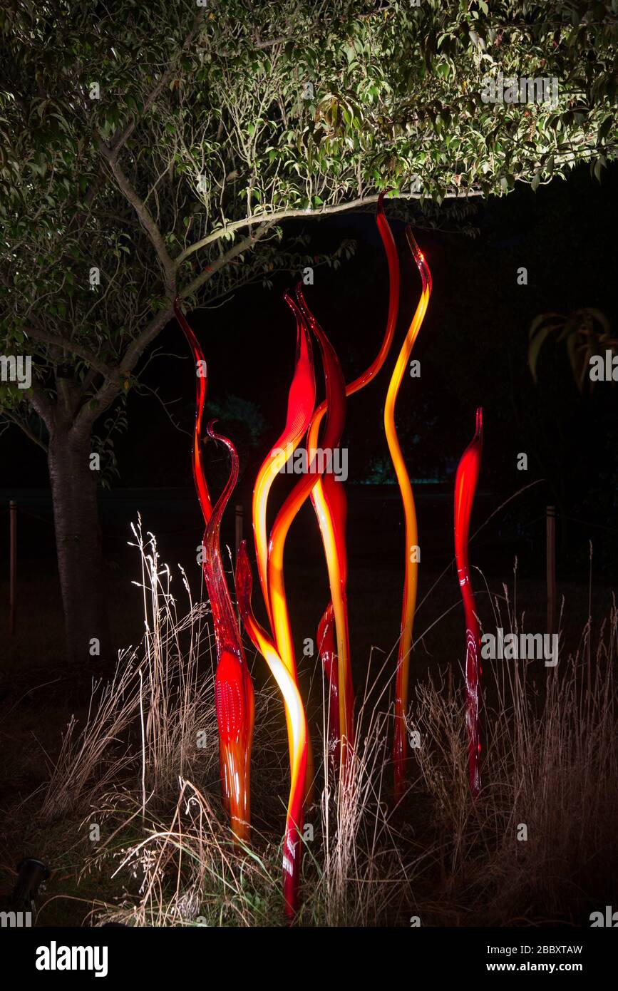 Code di catrame e betulla Reeds notti Chihuly riflessioni sulla natura colorato luminoso evento di esposizione Inverno 2019 a Kew Gardens, Richmond, Londra Foto Stock